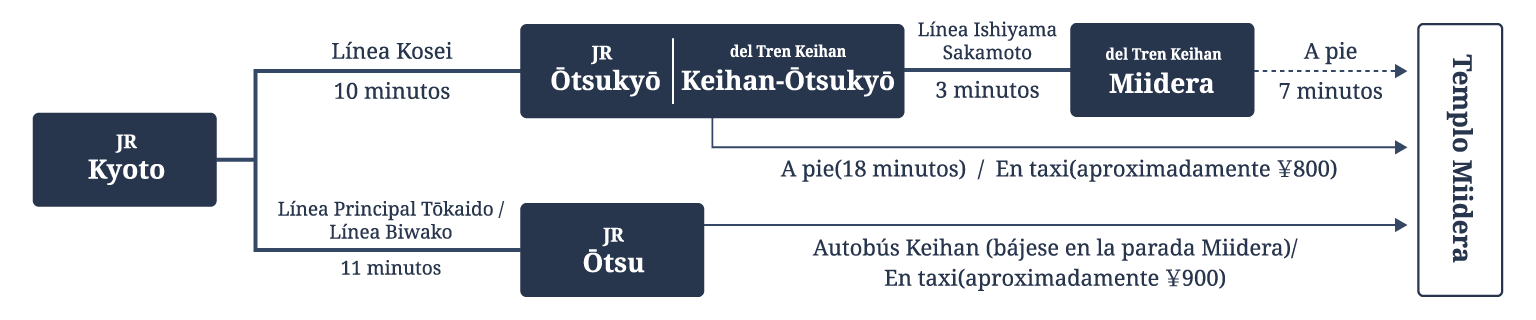 Los que vienen por JR