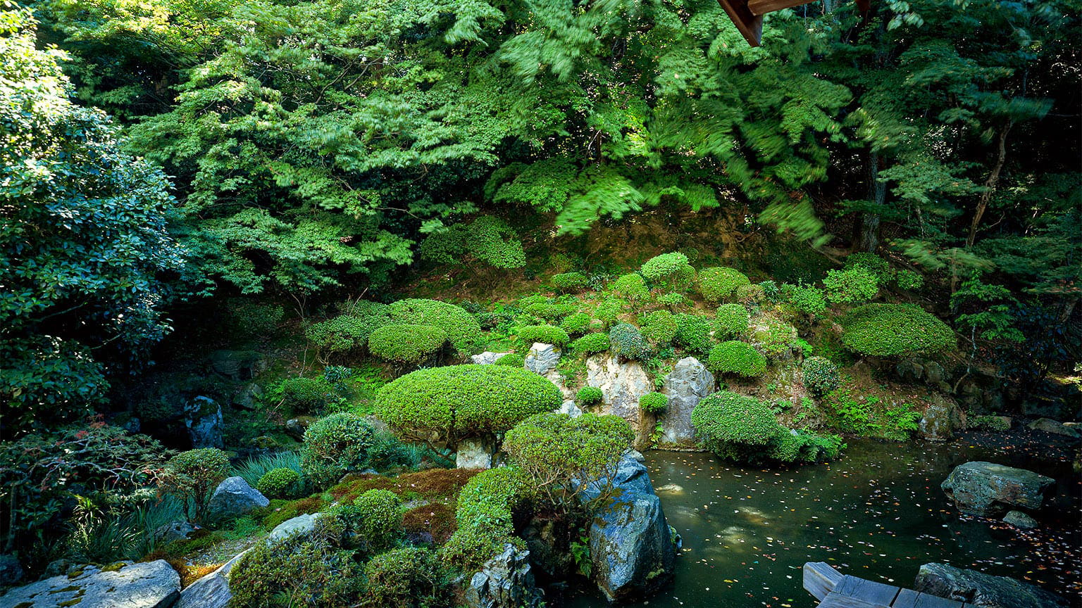 光浄院庭園